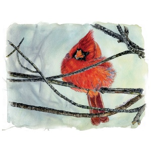 Cardinal d'hiver