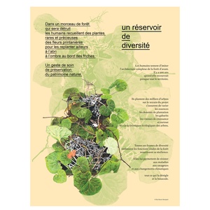 un réservoir de diversité