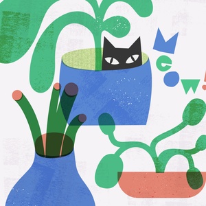 Plante et chats découpés