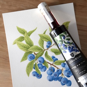 Packaging Liqueur de Bleuets / Beemer