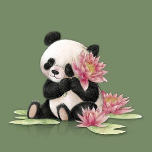 Panda / Couvertures produits pour Studio&co