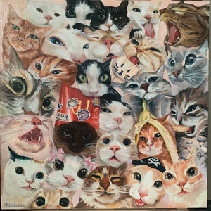 Chats Party