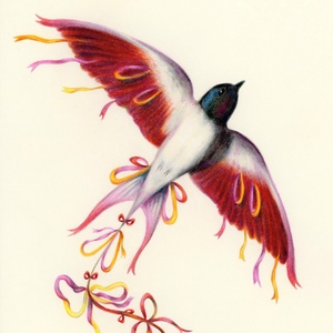Kite Swallow | Hirondelle Cerf-Volant