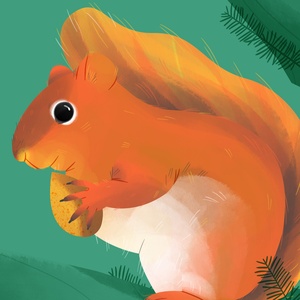 Red Squirrel Illustration