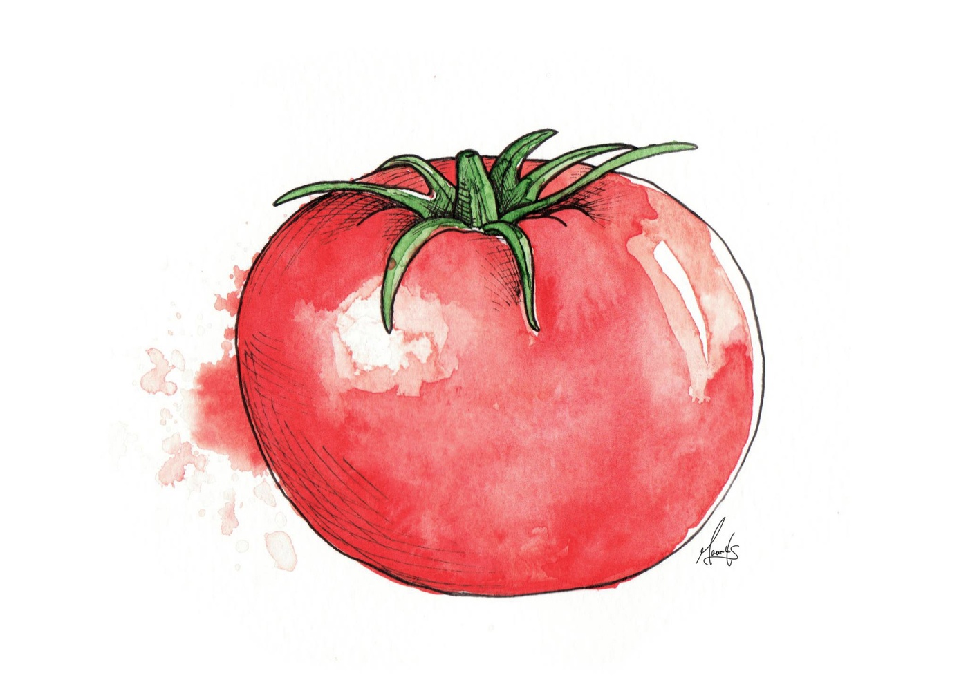 Marie-Hélène St-Michel - tomate