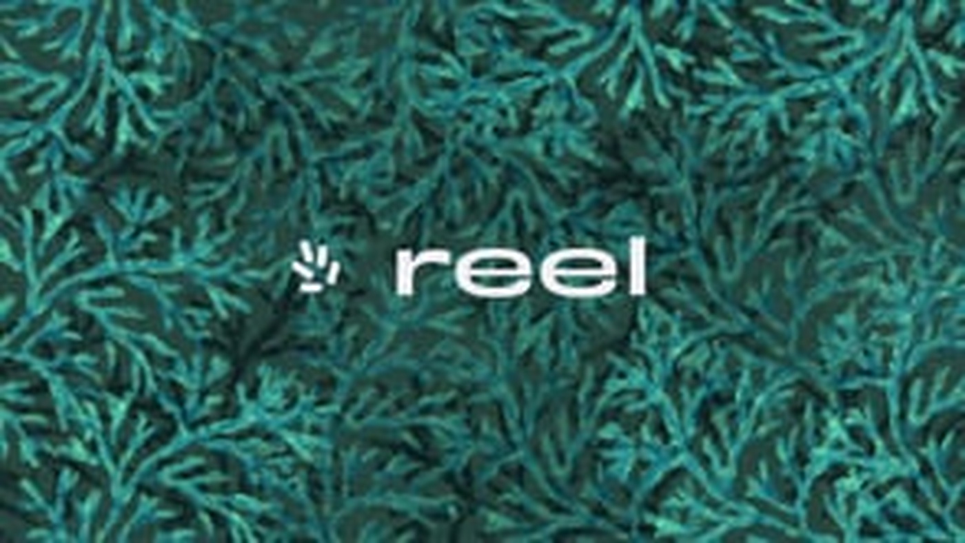 Amélie Tourangeau - Portfolio - animation et illustration