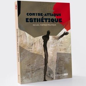 Contre-attaque esthétique