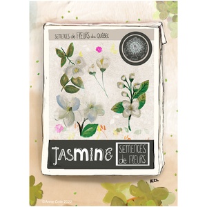 Jasmine_Semences