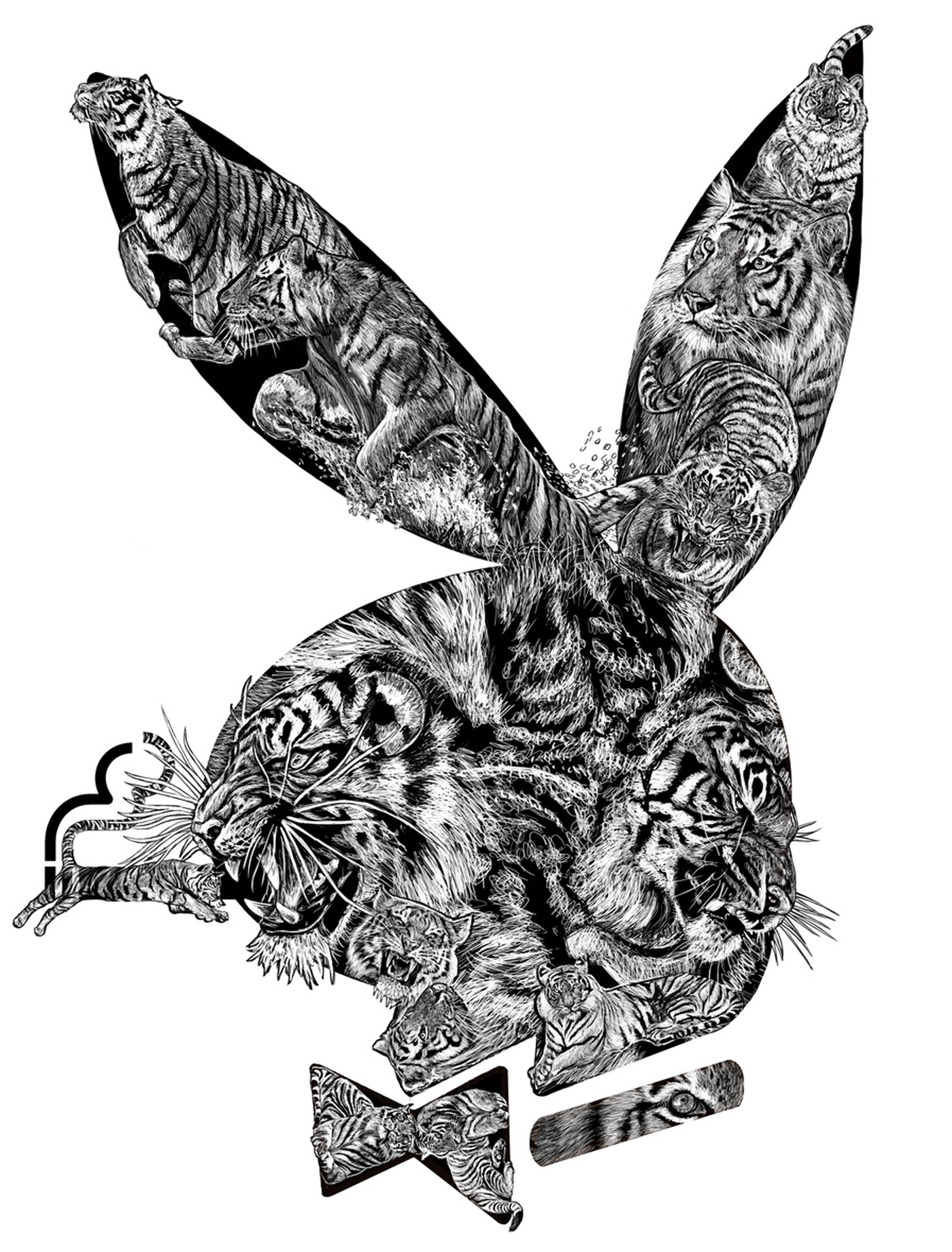 Jocelyne Bouchard - Tigre-Bunny