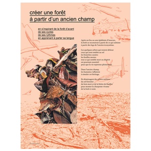 créer une forêt à partir d'un ancien champ