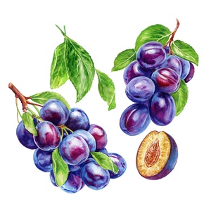 Les prunes