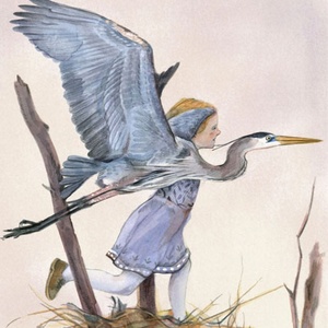 Grand heron
