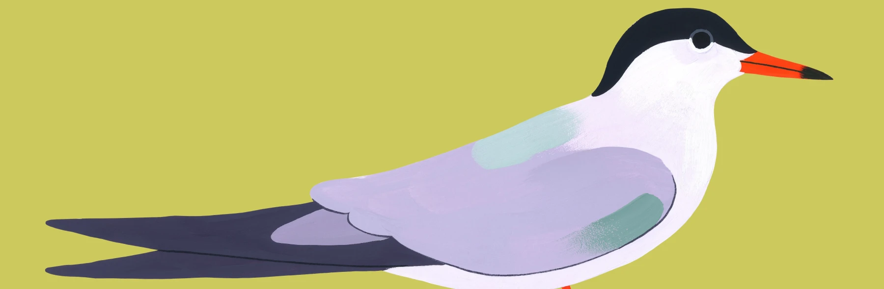Illustration by Charlotte Parent