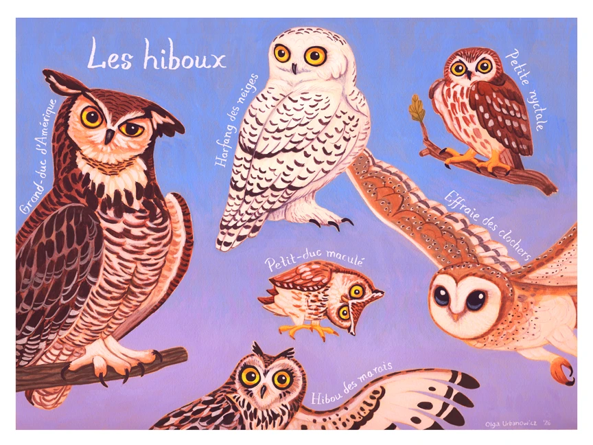 Les hiboux